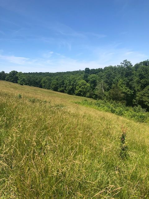 1915 Mount Zion Rd, Frankfort, KY 40601